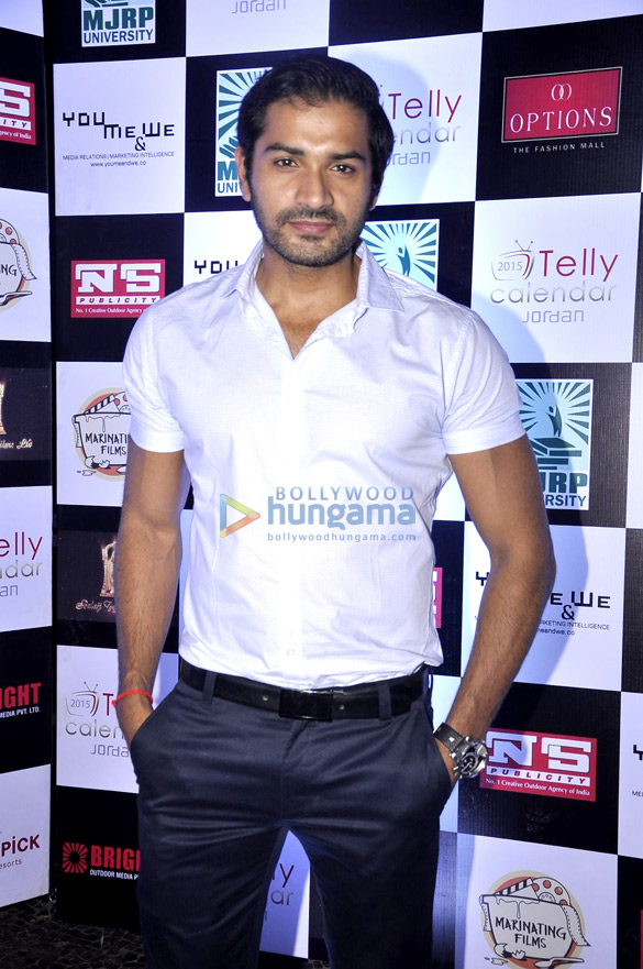 launch of telly calendar 2015 9