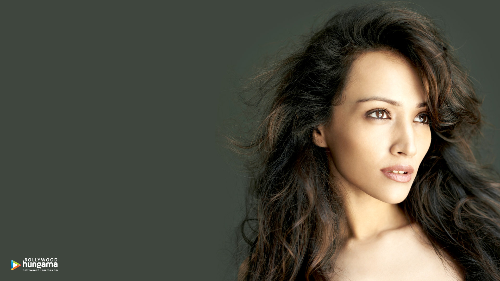 Dipannita Sharma Dipannita Sharma