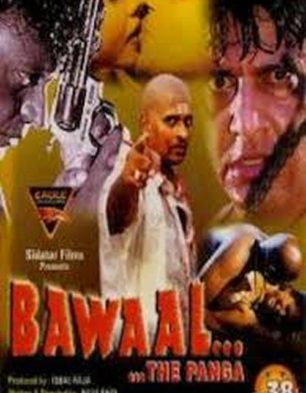 Bawaal – The Panga