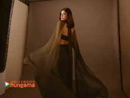 Celebrity wallpaper of Diana Penty