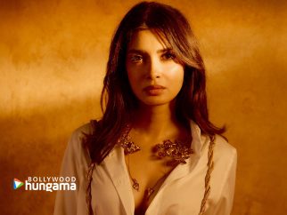 Celebrity wallpaper of Diana Penty