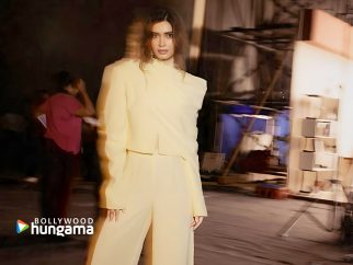 Celebrity wallpaper of Diana Penty