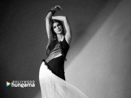 Celebrity wallpaper of Kriti Sanon
