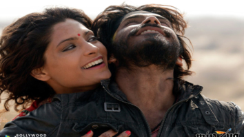 Movie Wallpapers Of The Movie Mirzya