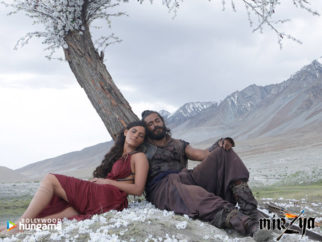 Movie Wallpapers Of The Movie Mirzya