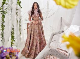 Nora Fatehi wallpapers