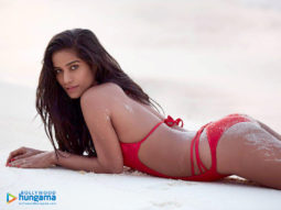 Celebrity Wallpapers of Poonam Pandey