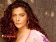 Celebrity wallpaper of Saiyami Kher