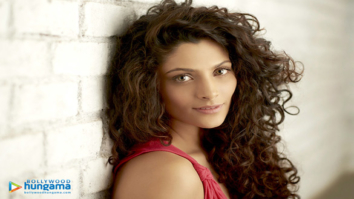 Celeb Wallpapers Of Saiyami Kher