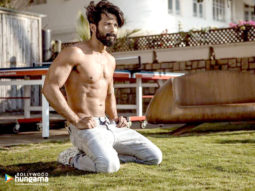 Celebrity Wallpapers of Shahid Kapoor