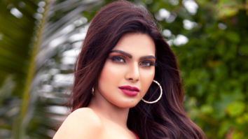 Celeb Wallpapers Of Sherlyn Chopra