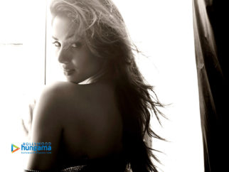 Celeb Wallpapers Of Sonal Chauhan