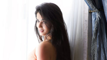 Celeb Wallpapers Of Sonal Chauhan