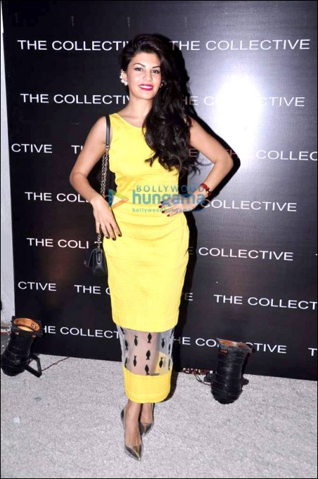 dress like a star jacqueline fernandez 9