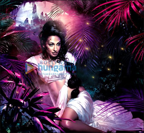 check out kashmera shah bares it all in her newly launched calendar 3