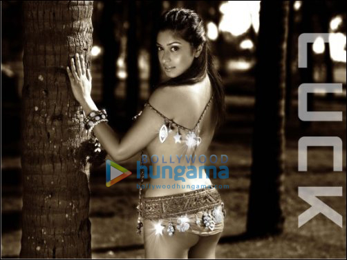 delectable life o holic bikini calendar 5 delectable life o holic bikini calendar 5