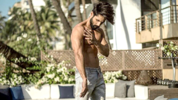 Celebrity Wallpapers of Shahid Kapoor