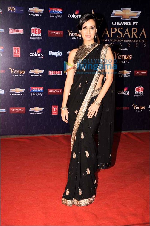 style check celebs at apsara awards red carpet 4