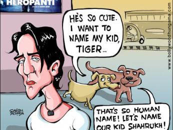 Bollywood Toons: Tiger Vs Shah Rukh