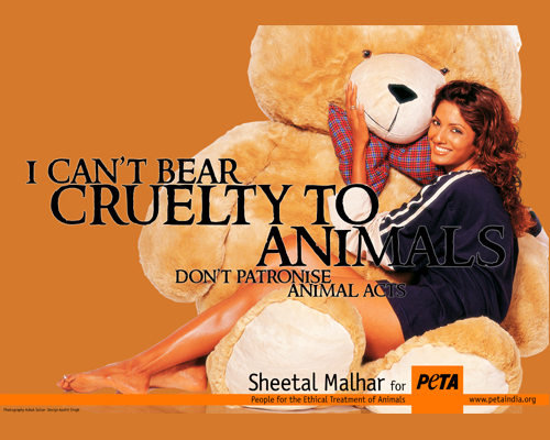 the bear necessities