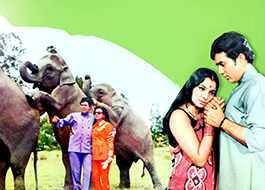 Haathi Mere Saathi to be remade with contemporary twist