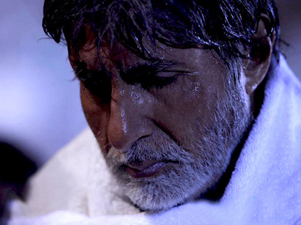 amitabh bachchan 169