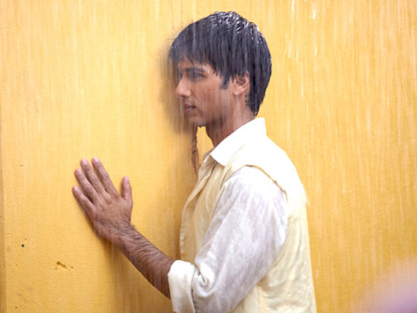 shahid kapoor 118
