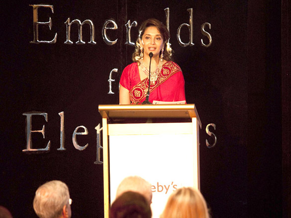 celebs at the emeralds for elephants collection auction event 2
