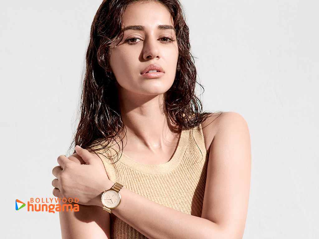 Disha Patani Wallpapers dishapatani106 Bollywood Hungama