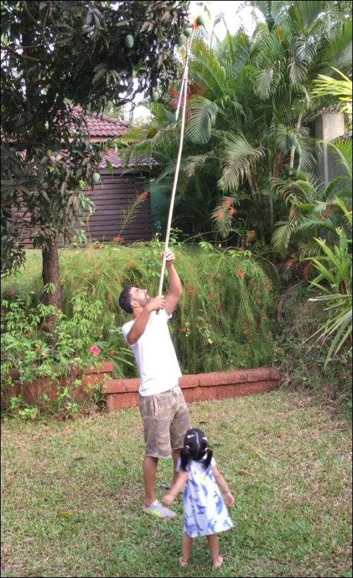 Check out: Akshay Kumar and daughter Nitara bond over plucking mangoes Check out: Akshay Kumar and daughter Nitara bond over plucking mangoes