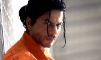 Is Don 2 a message from Shah Rukh to Sunny