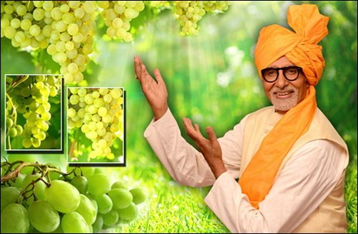 Amitabh Bachchan to endorse Horticulture