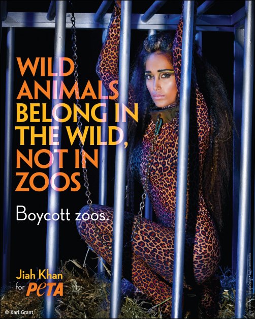 Check out: Jiah Khan goes wild in new PETA ad