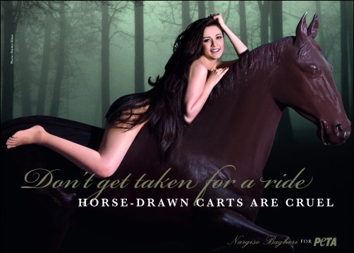Nargise Bagheri strips down to stop cruelty against horses in new PETA ad