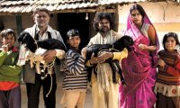Blog: Peepli Live! A classic case of misunderstood rural life! But are we surprised?