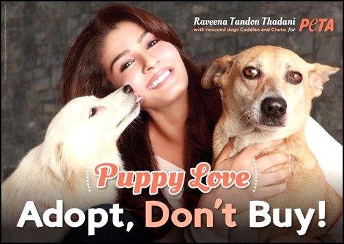 Check out: Raveena Tandon in PETA ad
