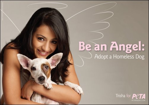 ‘Adopt a homeless dog’ says Trisha in PETA’s latest campaign