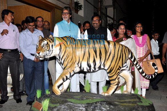 amitabh bachchan announced as the brand ambassador of save the tiger initiative 5