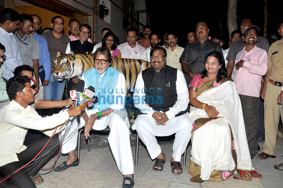 amitabh bachchan announced as the brand ambassador of save the tiger initiative 3