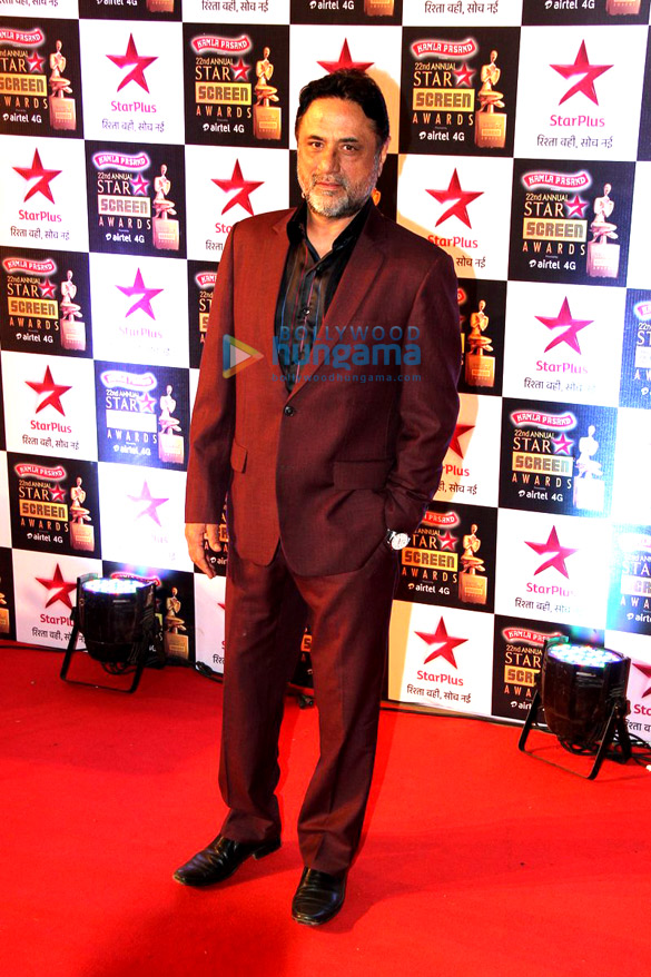 celebs grace the 22nd annual star screen awards 2015 34