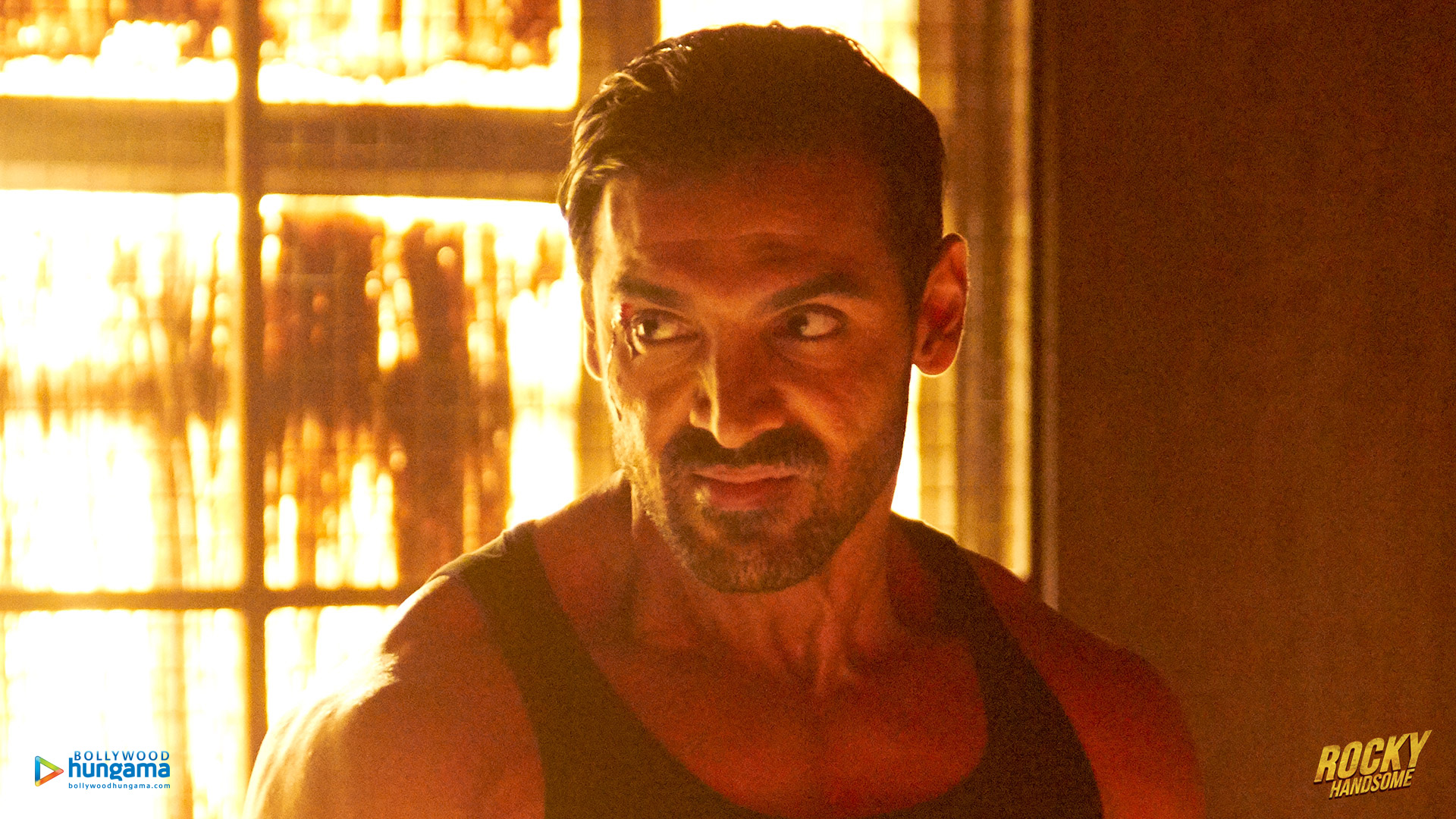 Rocky Handsome