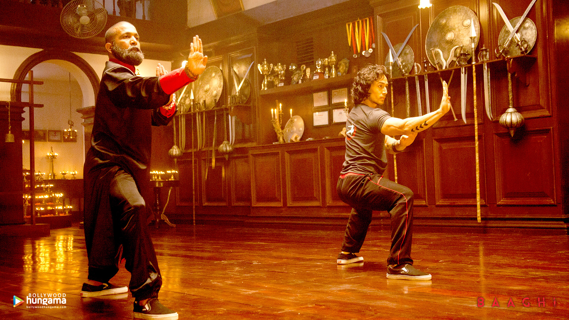 Baaghi Baaghi