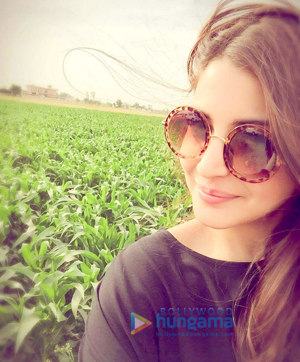 phillauri 2