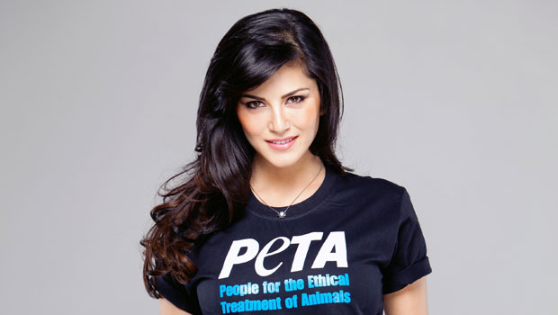 Sunny Leone Encourages To Adopt Dogs And Not Buy Them