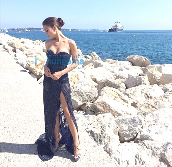 Celebrity Photo Of Amy Jackson