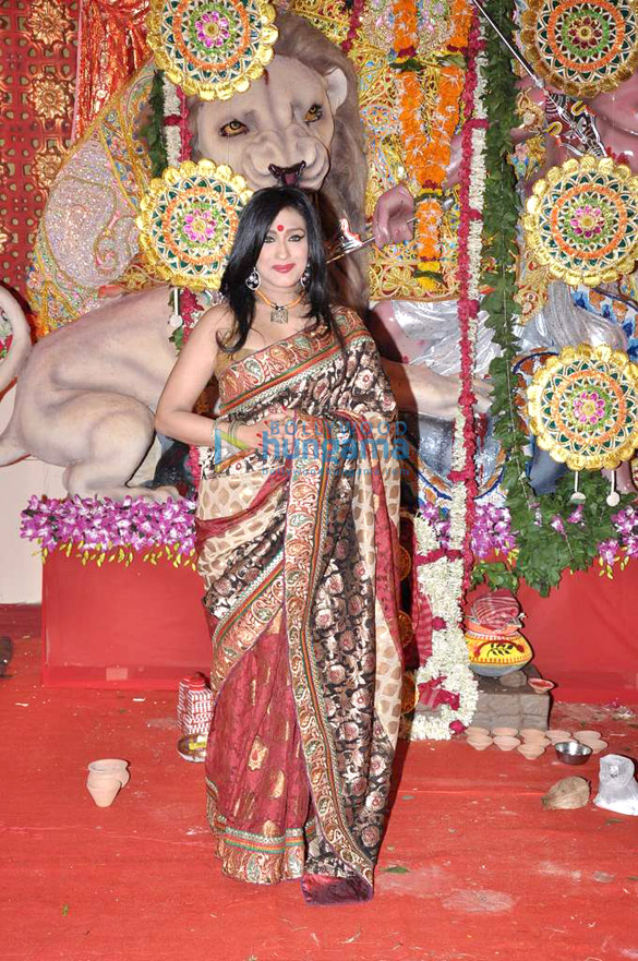 fiery tiger productions sarbojanin durga puja 21