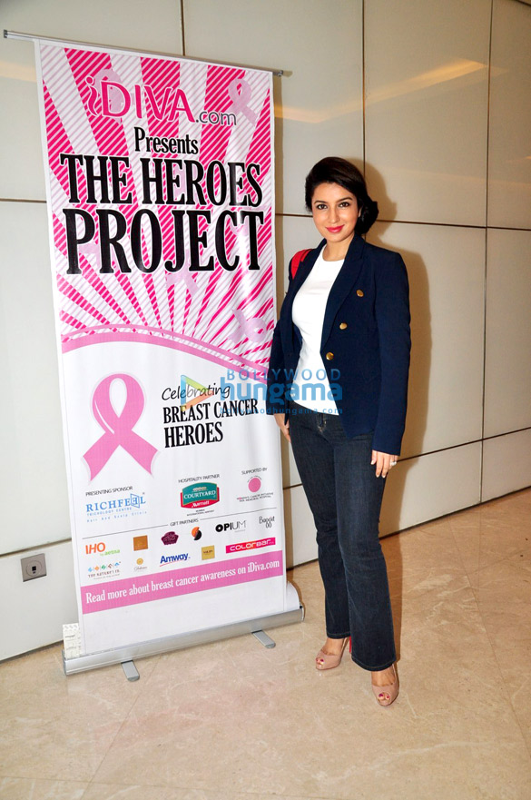 celebs grace the heroes project a breast cancer awareness 12