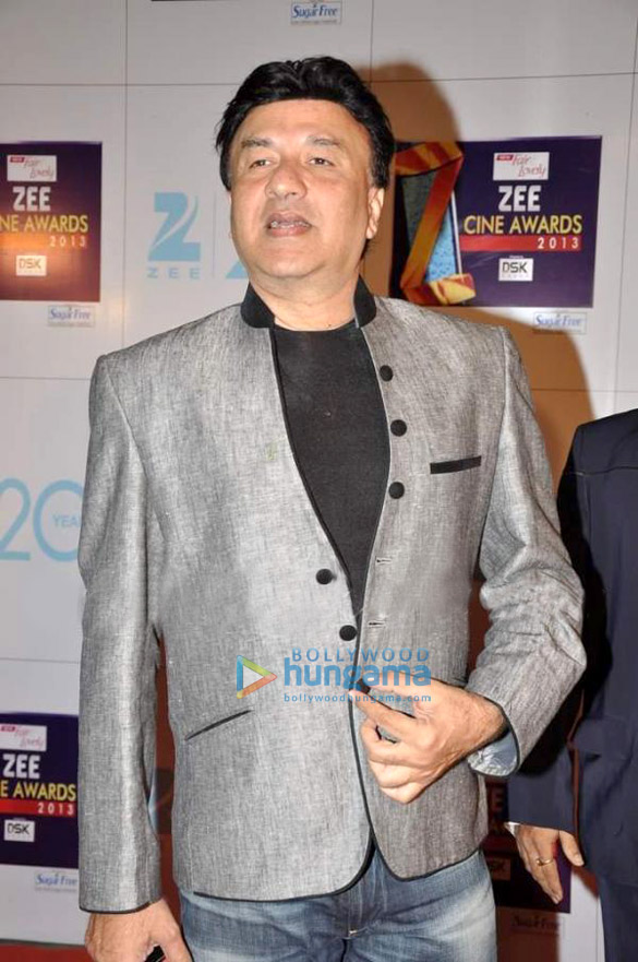 zee cine awards 2013 9