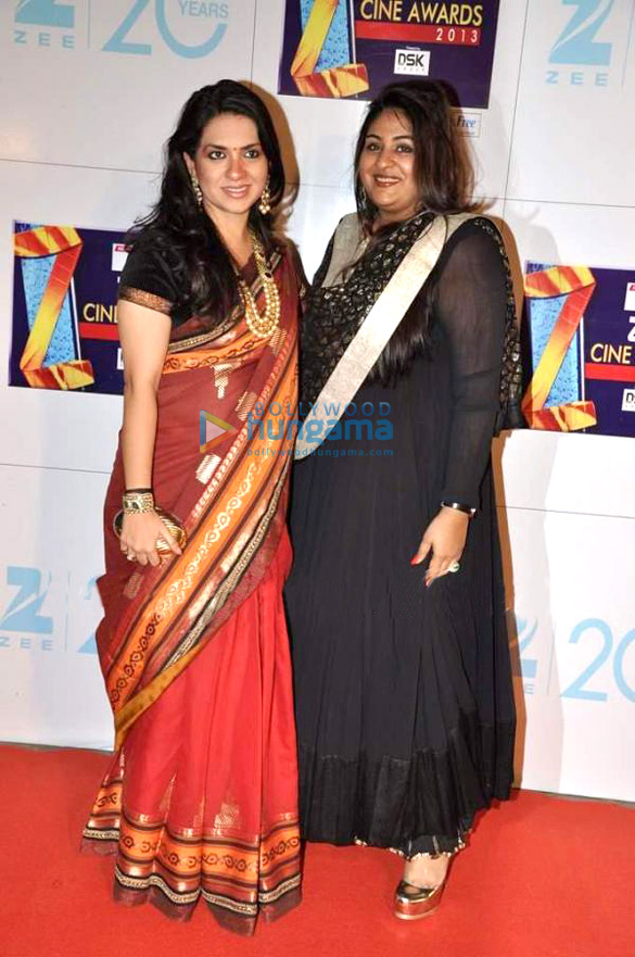 zee cine awards 2013 19