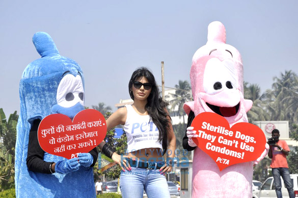 sherlyn at petas safe sex for animals campaign 3